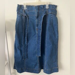 Madewell maxi denim skirt